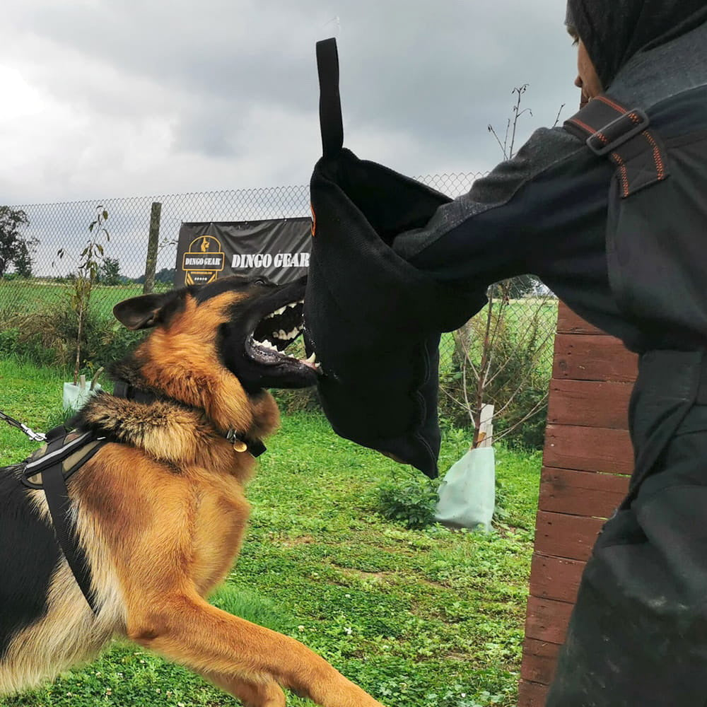 Bite arm EXTERN soft - Dingo Gear