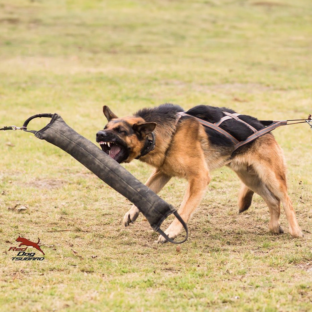 Boudin extra strong, two loops - Dingo Gear