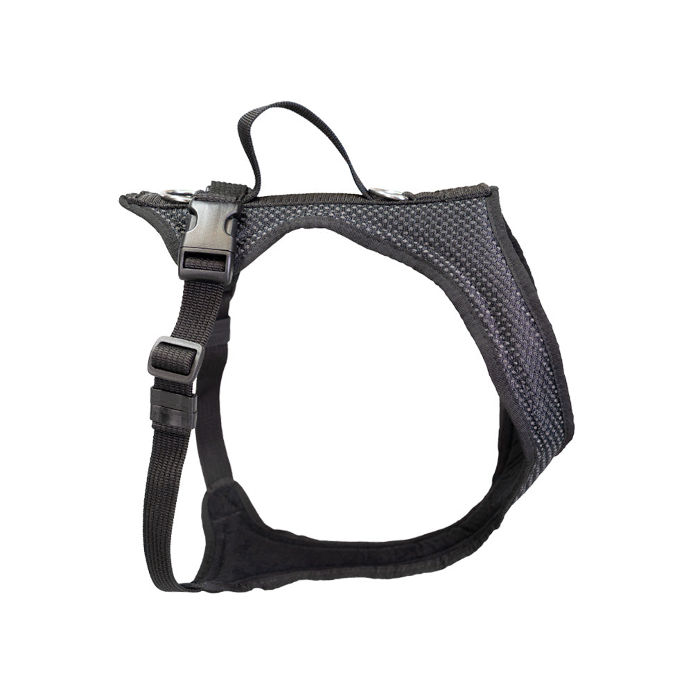 Dog`s Fun Run dog harness standard, black. made in Switzerland