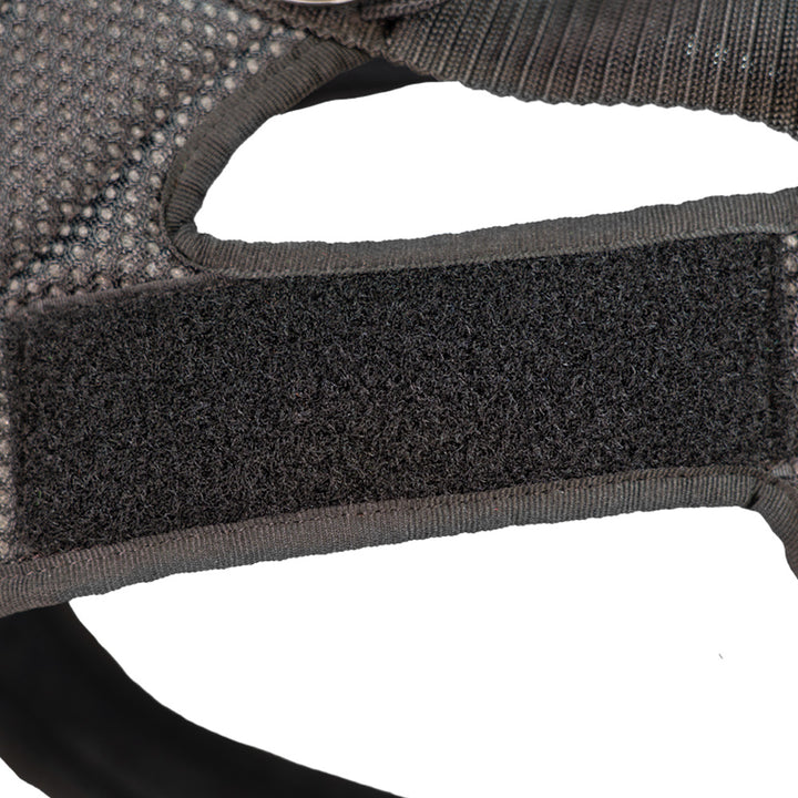 Dog harness Dog`s Fun Run Batch black, with black edging. Detailed view of the Velcro panels for patches.