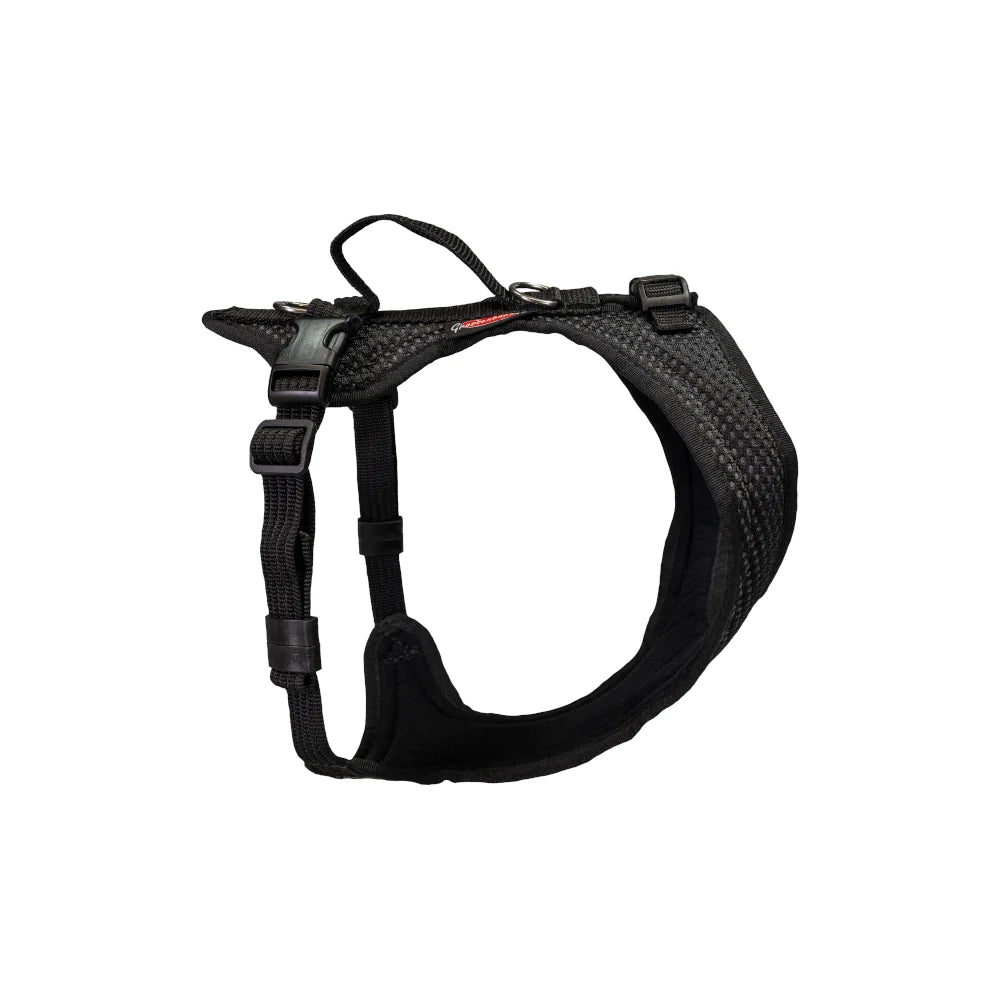 Dog harness Dog`s Fun Run Dog harness Bulldog, black with black edging and buckle at the neck.