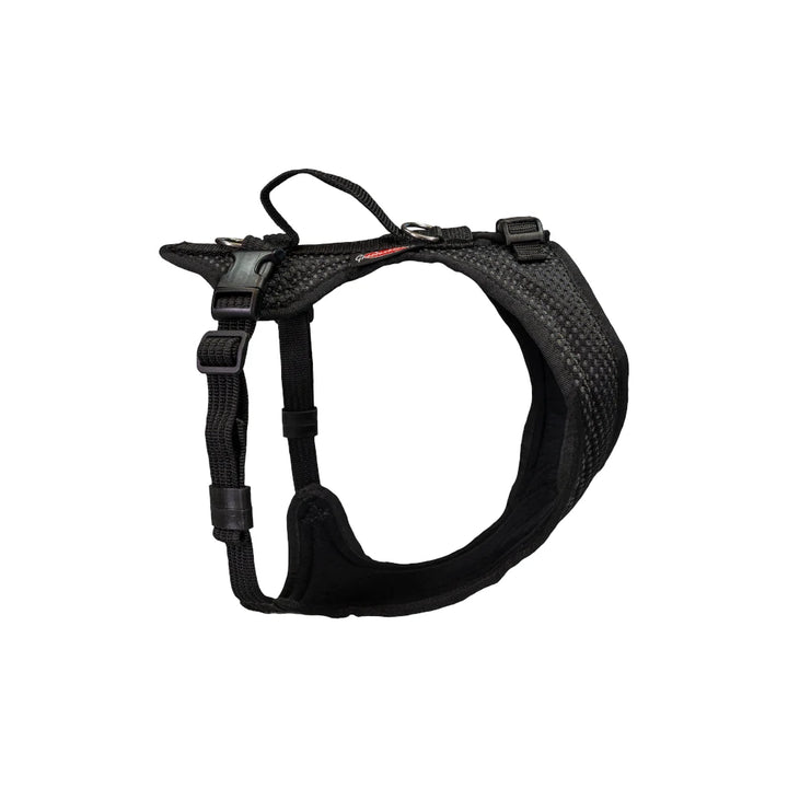 Dog harness Dog`s Fun Run Dog harness Bulldog, black with black edging and buckle at the neck.