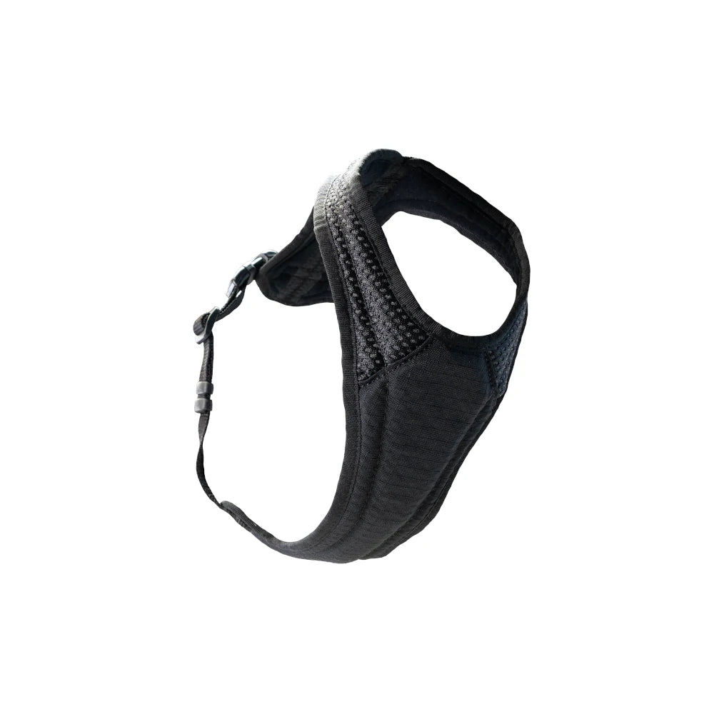 Dog`s Fun Run dog harness with optimized fit for dachshunds, chest-belly area reinforced.