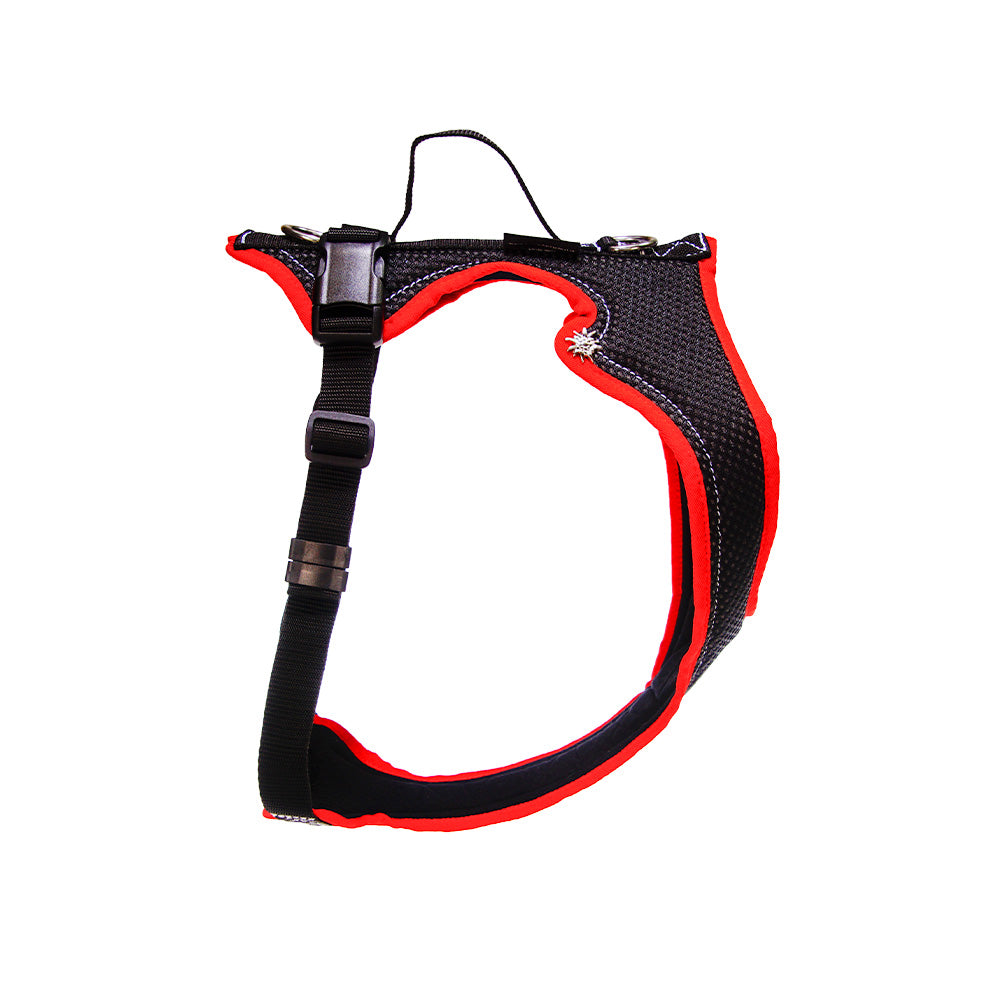 Dog harness Dog`s Fun Run MUTZ, in the style of the Bernese men`s harness. Black with red edging, white decorative stitching and Edelweiss rivets.