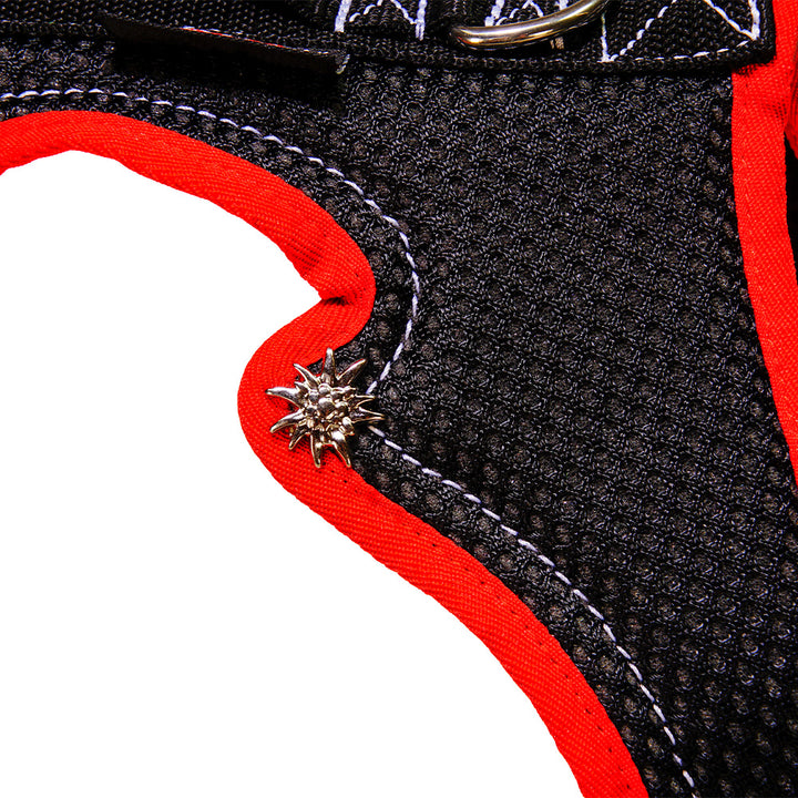 Dog harness Dog`s Fun Run MUTZ, in the style of the Bernese men`s harness. Black with red edging, white decorative stitching and Edelweiss rivets. Detailed view of the Edelweiss rivets.