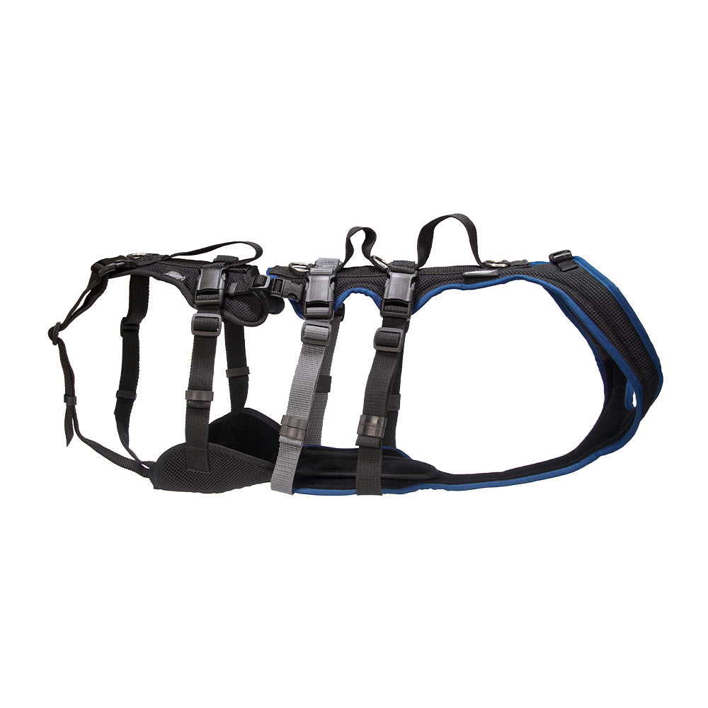 Dog harness Dog`s Fun Run Support XLong, for older and frail dogs and after operations.
