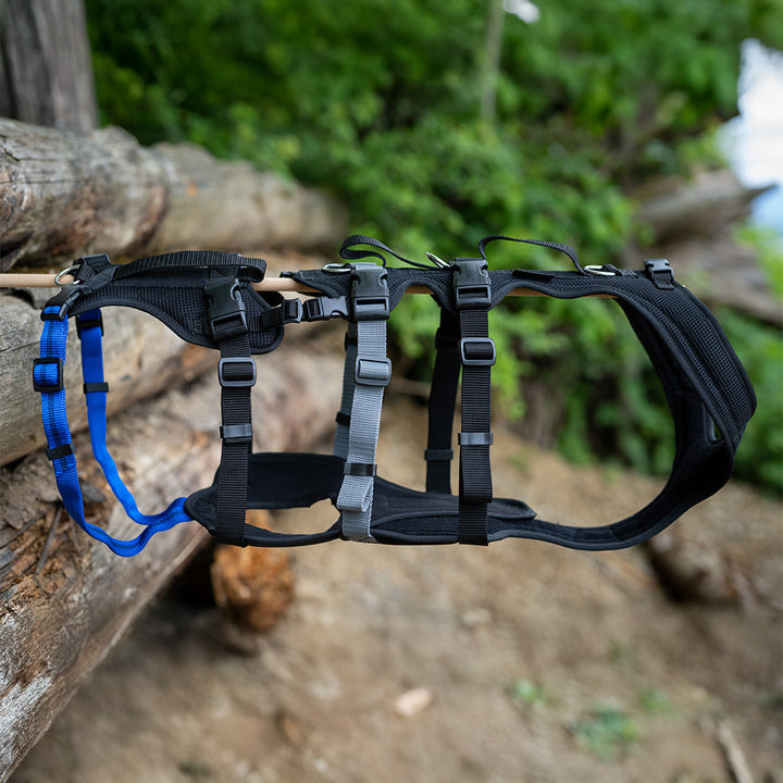 Dog harness Dog`s Fun Run Support XLong, for older and frail dogs and after operations. Detail photo in nature.