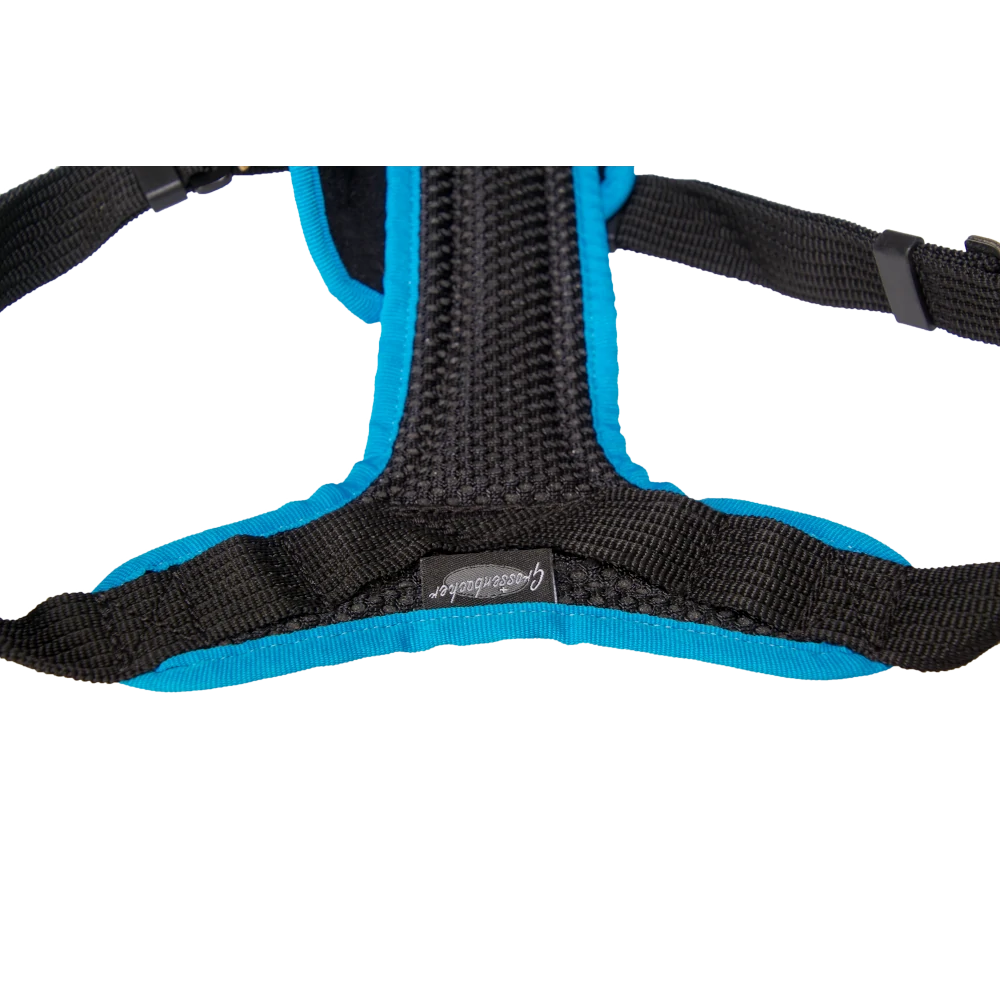 Dog`s Fun Run Car Safety Harness Travel Great Dane