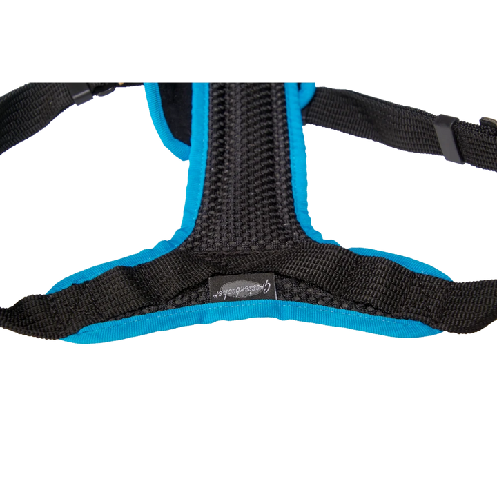 Dog`s Fun Run Car Safety Harness Travel Great Dane