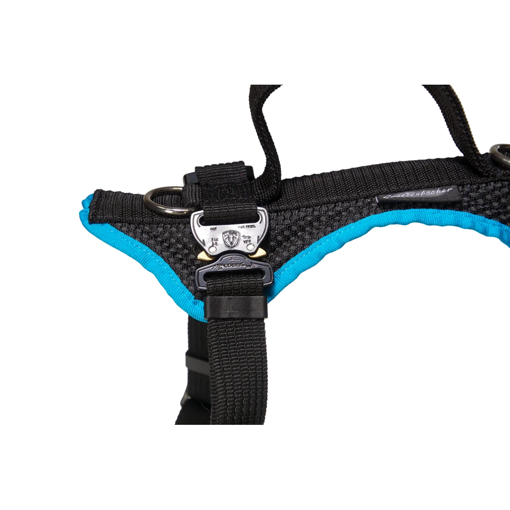 Dog`s Fun Run Car Safety Harness Travel Great Dane