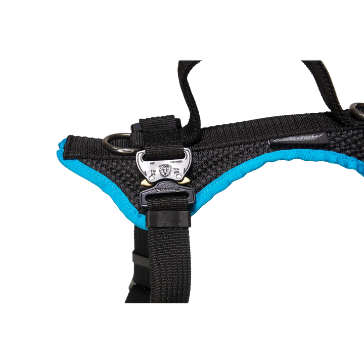 Dog`s Fun Run Car Safety Harness Travel Great Dane