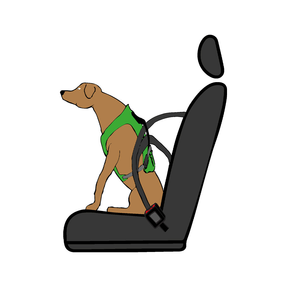 Dog`s Fun Run Car Safety Harness Travel