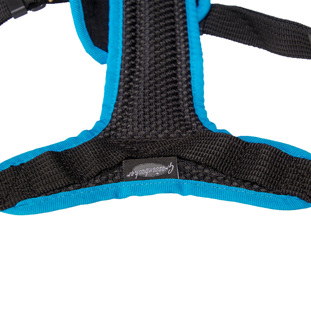 Dog harness Dog`s Fun Run car safety harness Travel, for transportation in the car. black-turquoise. Belly detail.