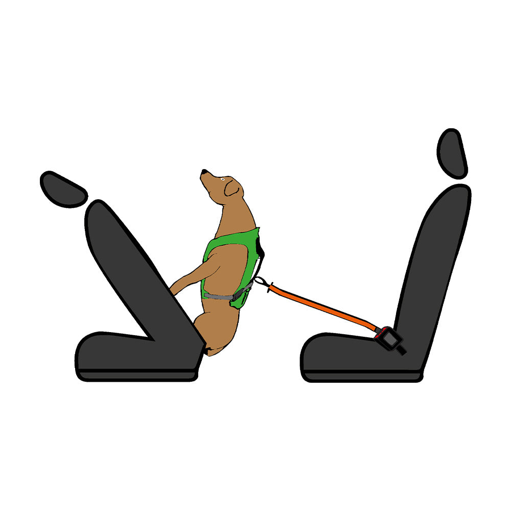 Dog`s Fun Run Car Safety Harness Travel