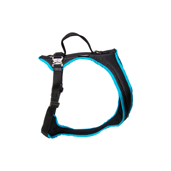 Dog`s Fun Run Car Safety Harness Travel Great Dane