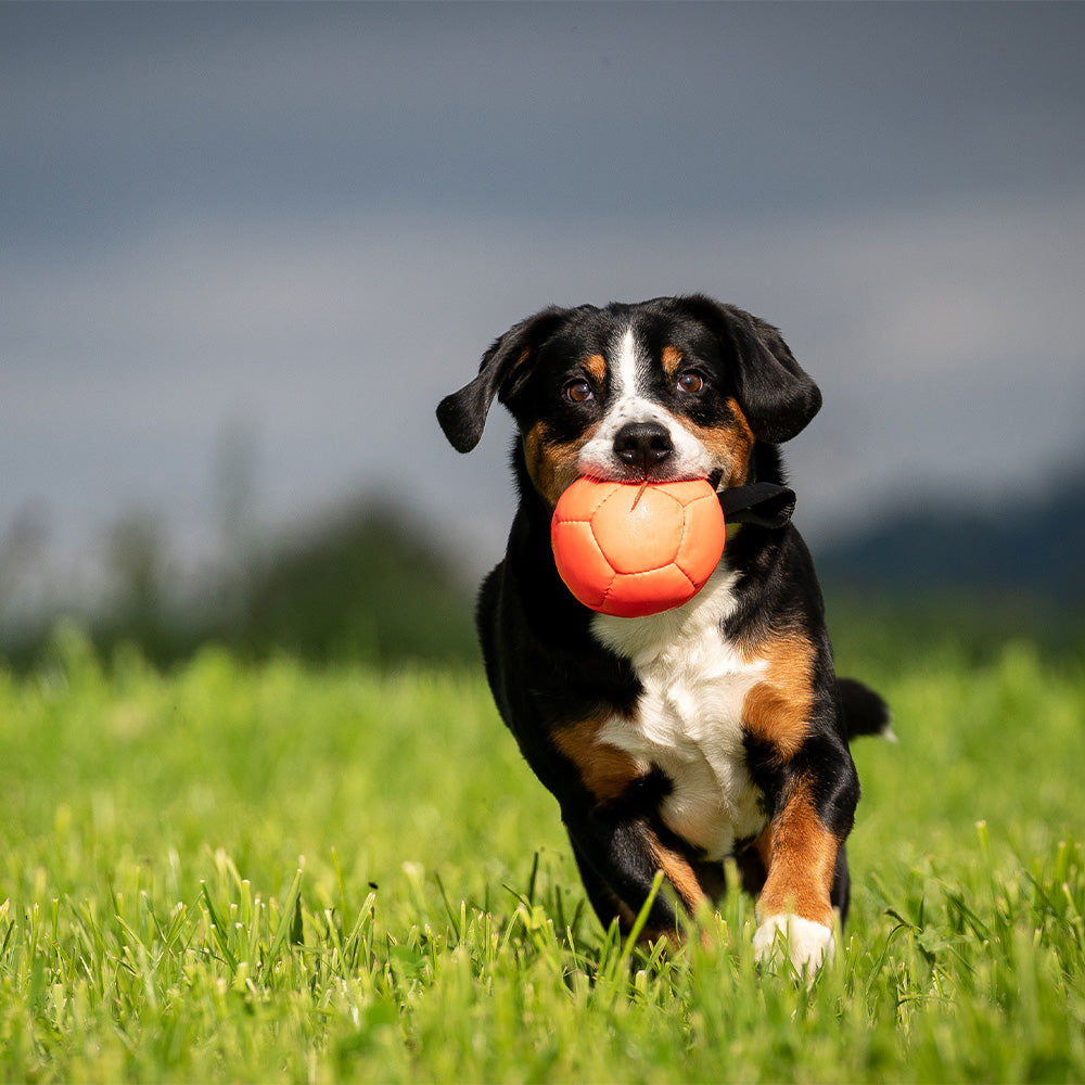 Eco Leather Softball