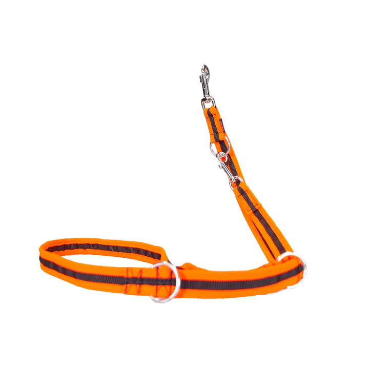 Edged Dog Leash, 3-way Adjustable