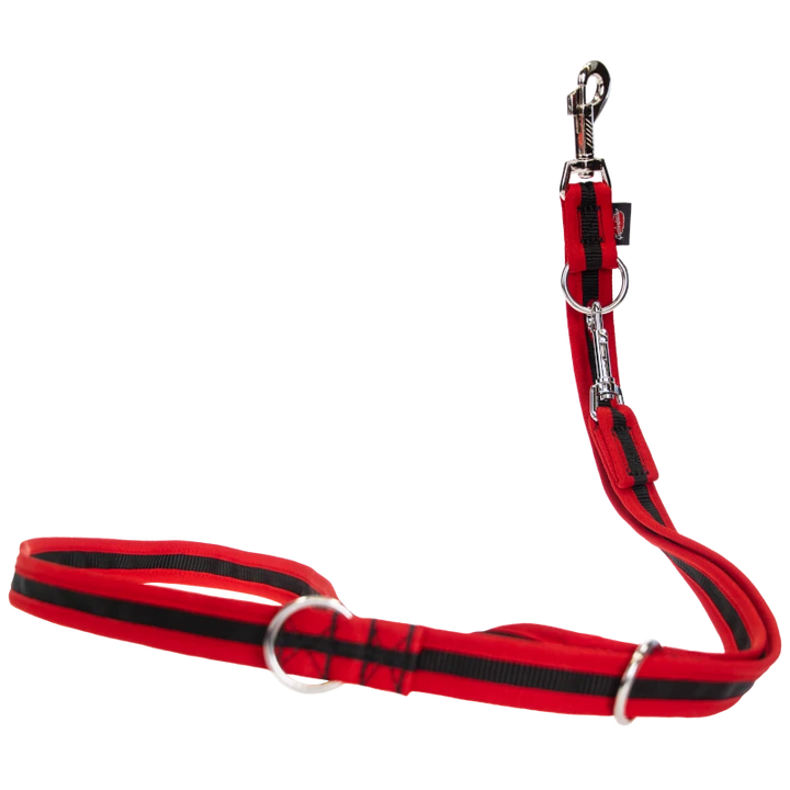 Edged Dog Leash, 3-way Adjustable