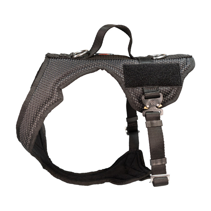 Guard Profi closed harness