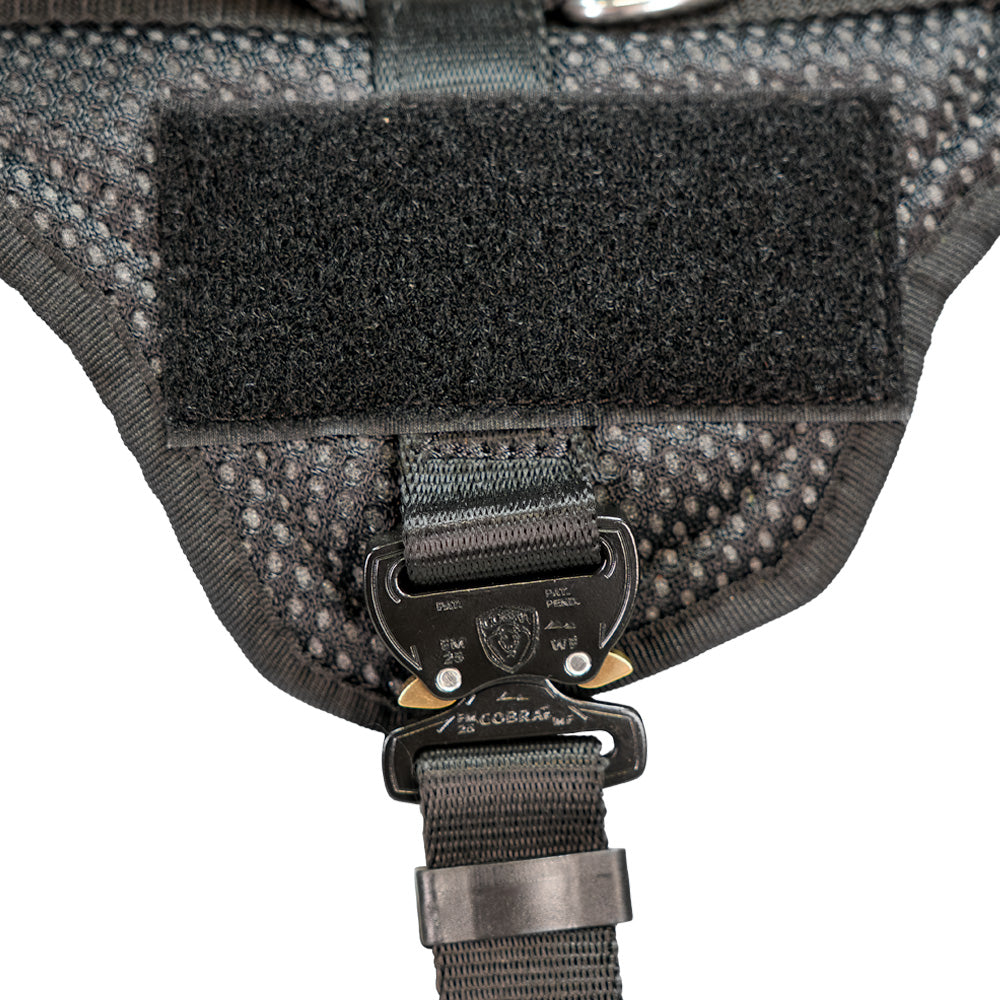 Guard Profi closed harness
