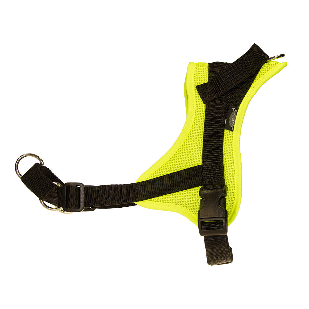 Training harness Guide plain-colored
