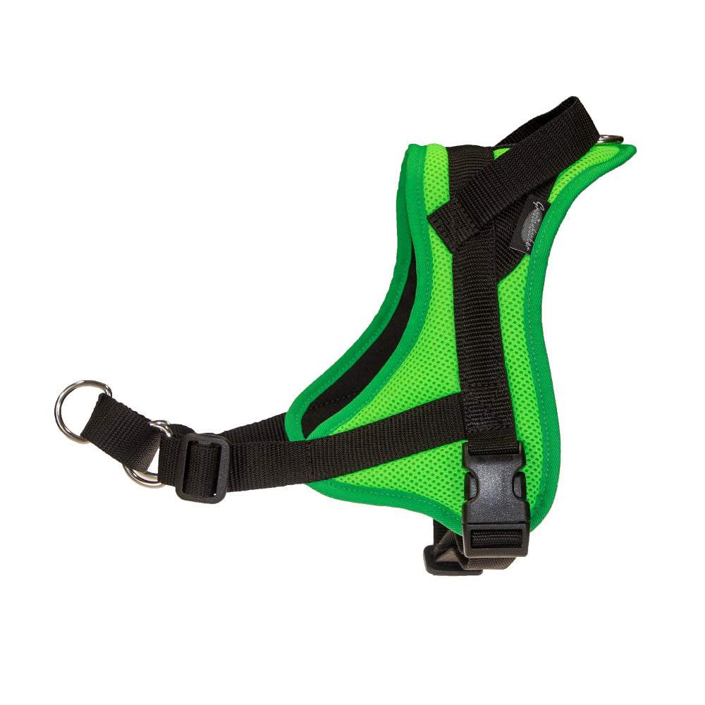 Training harness Guide plain-colored