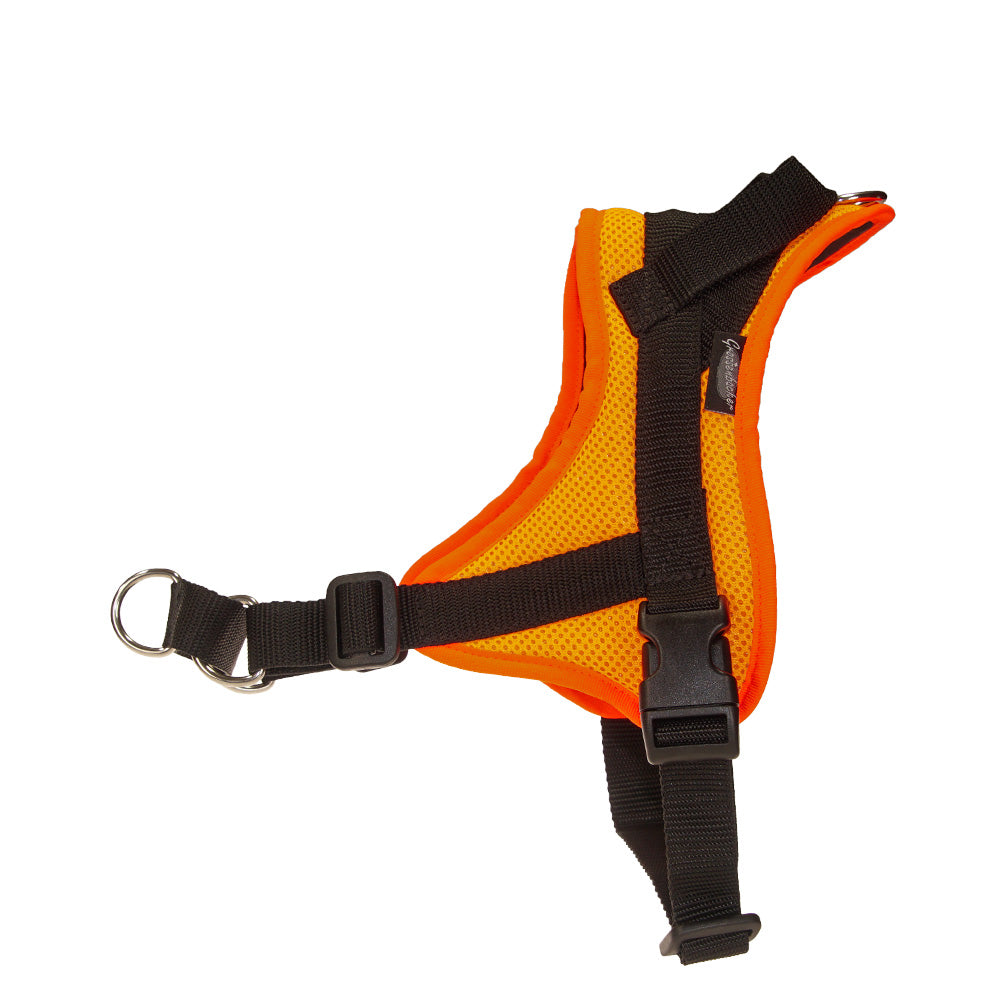 Training harness Guide plain-colored