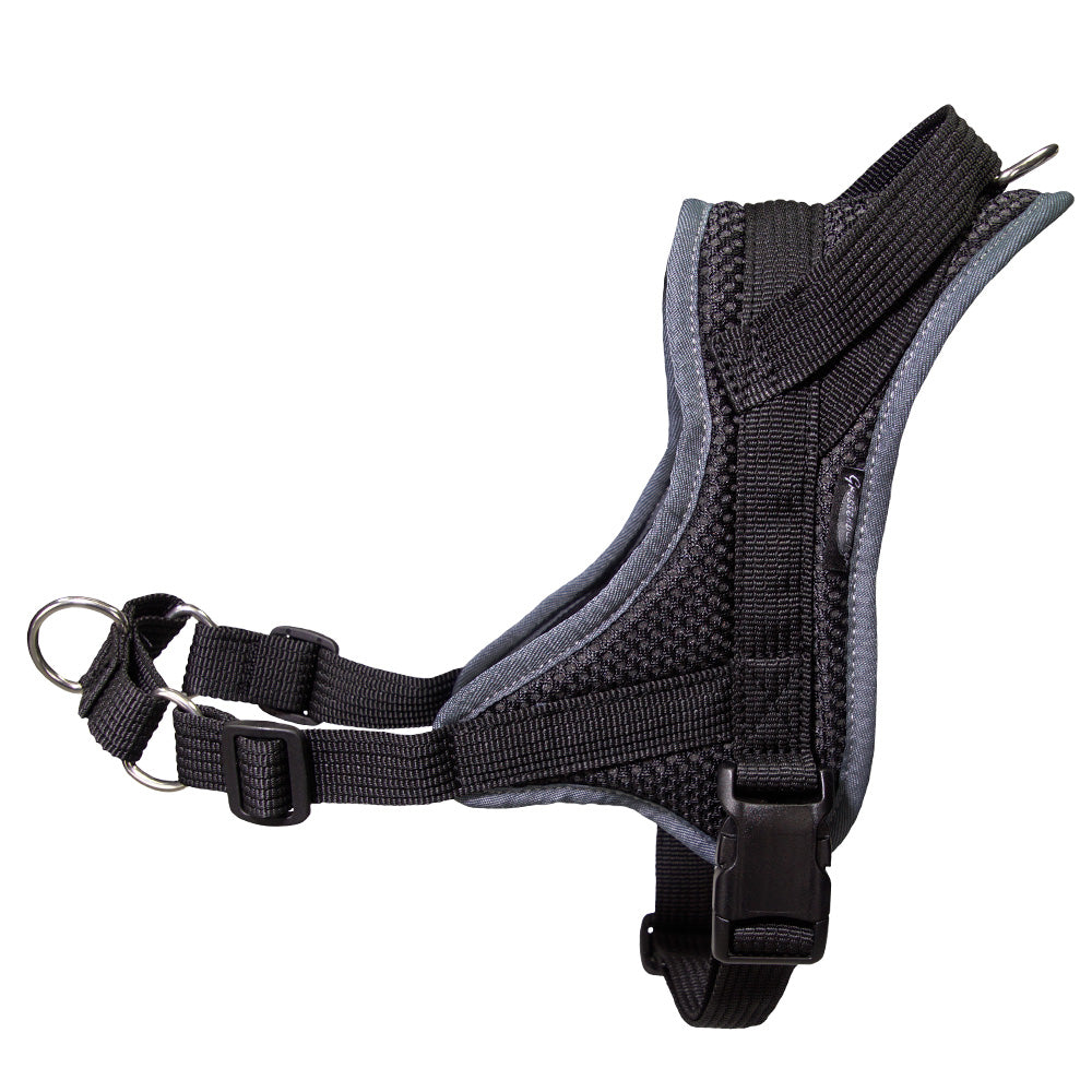 Training harness Guide