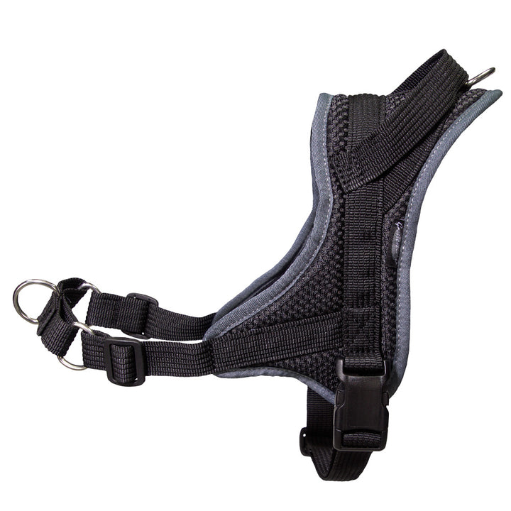 Training harness Guide