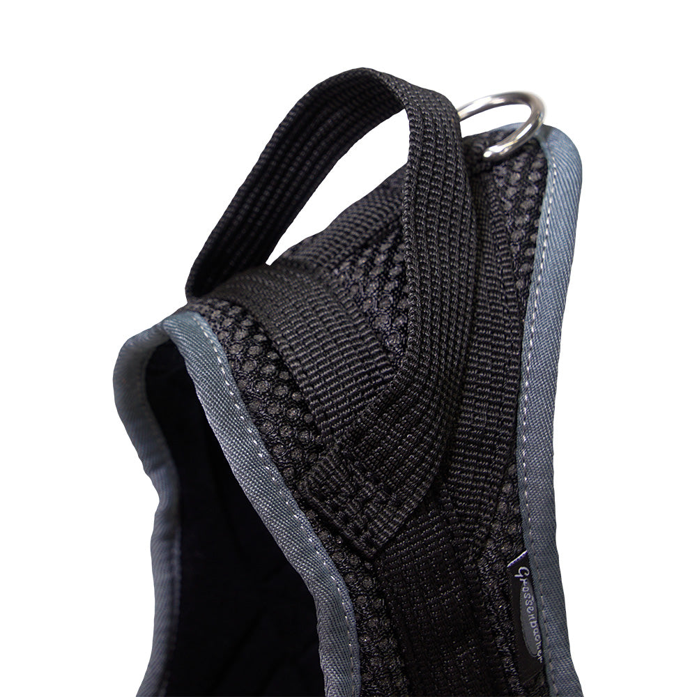 Training harness Guide