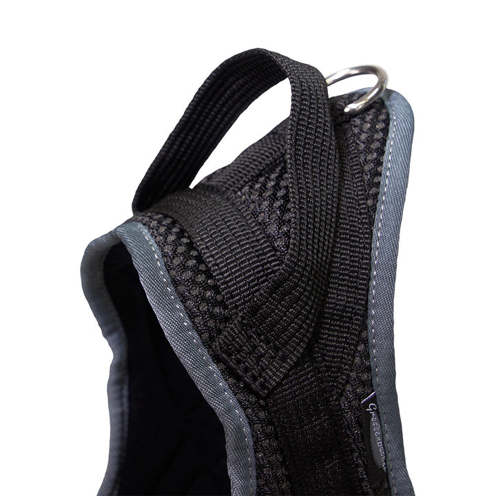 Training harness Guide