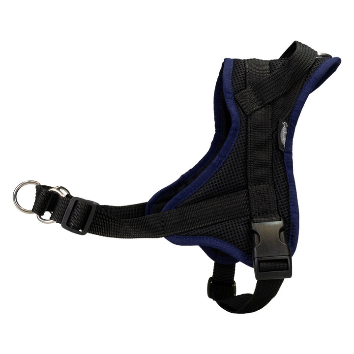 Training harness Guide