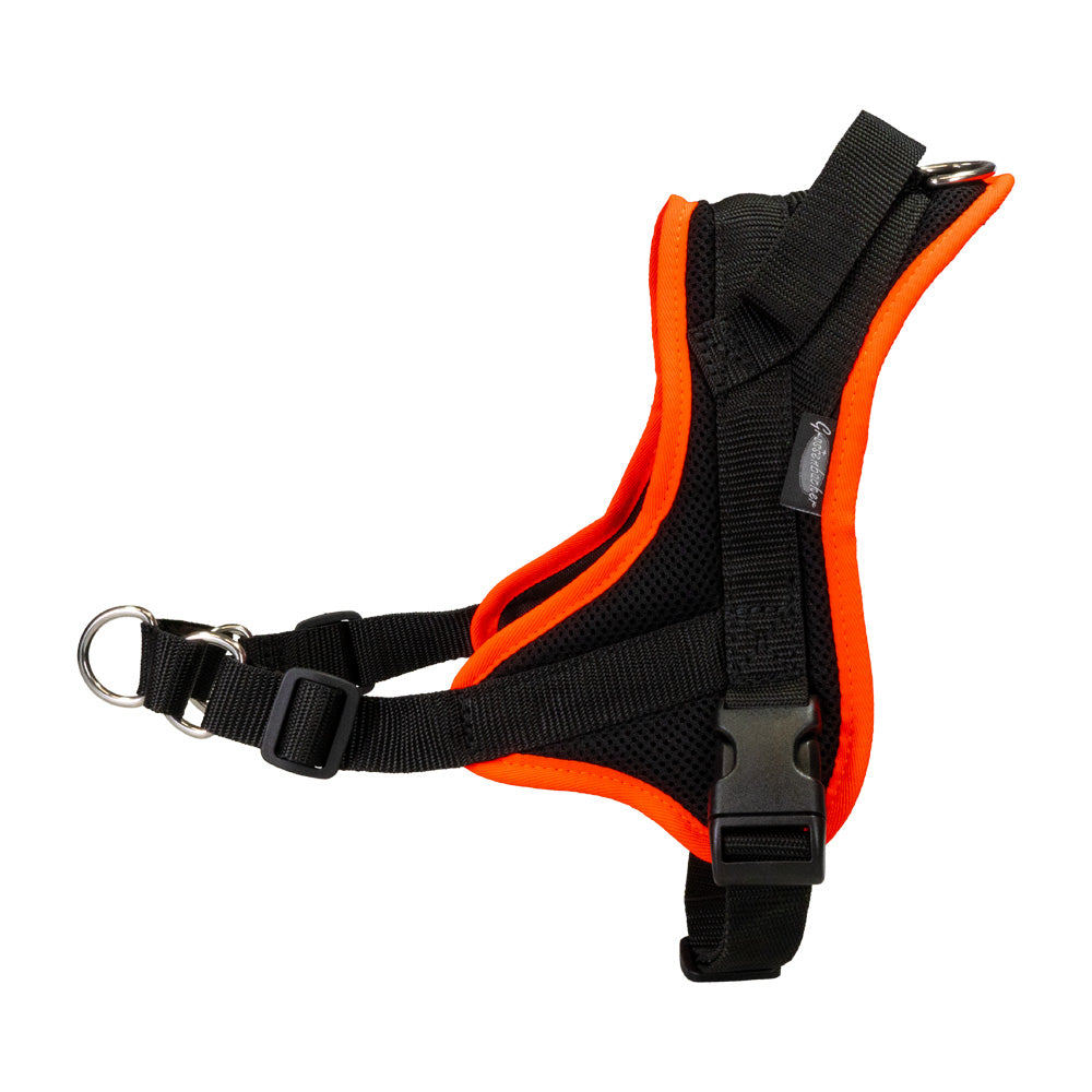 Training harness Guide