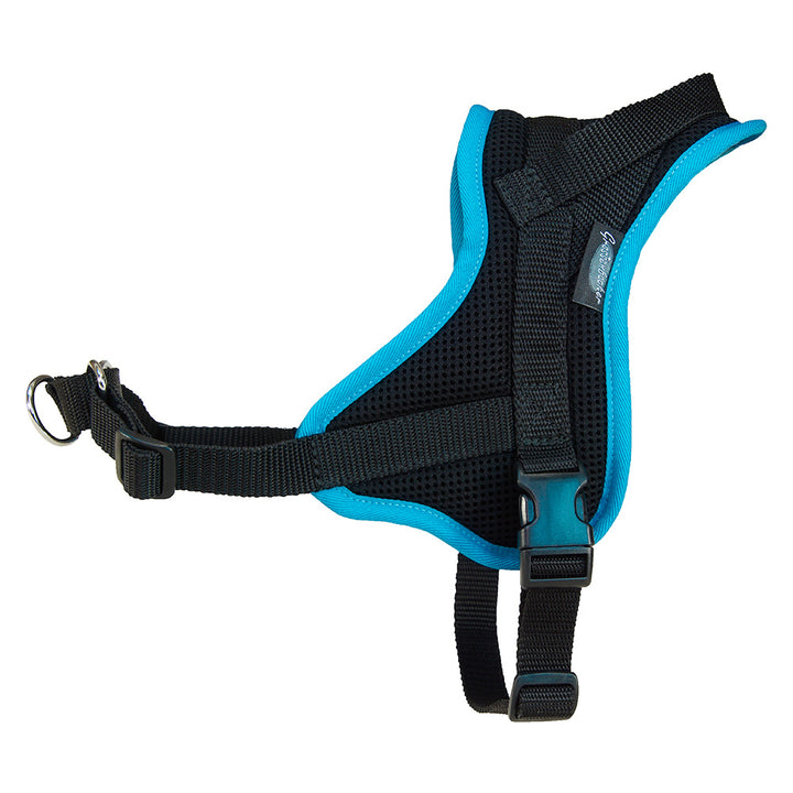 Training harness Guide