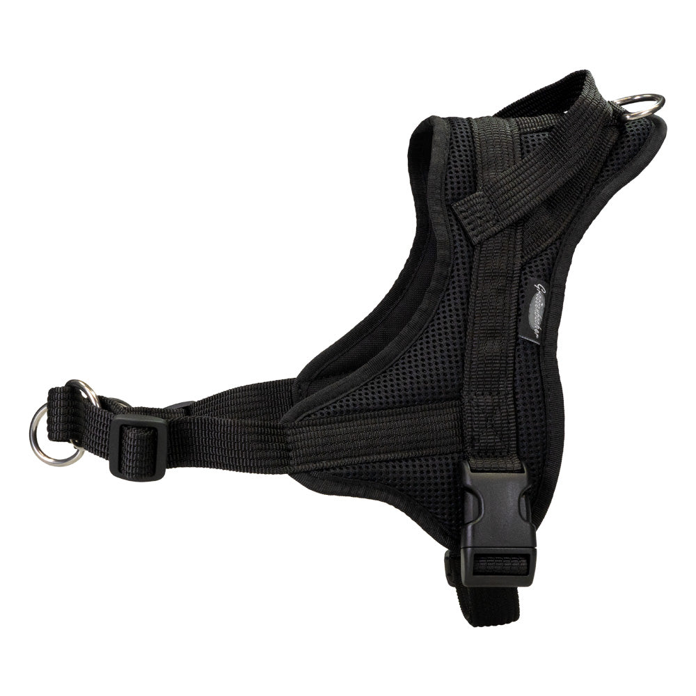 Training harness Guide