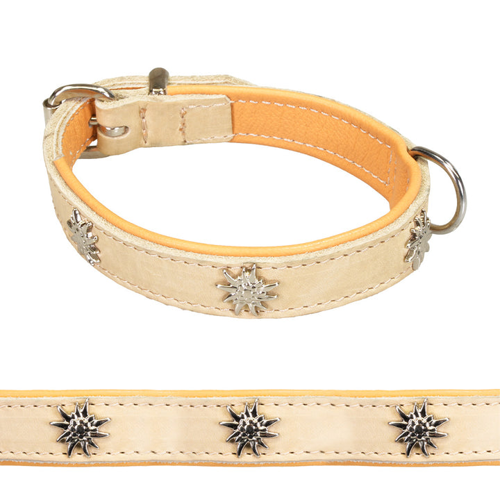 Leather dog collar beige with studs