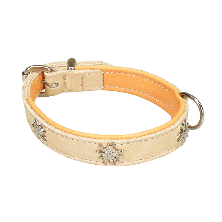 Leather dog collar beige with studs