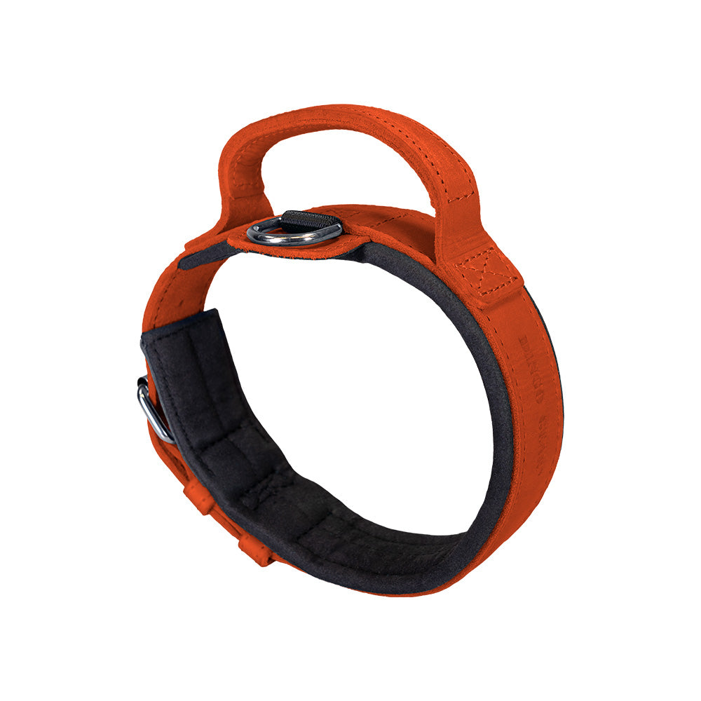 Collar with handle oiled leather