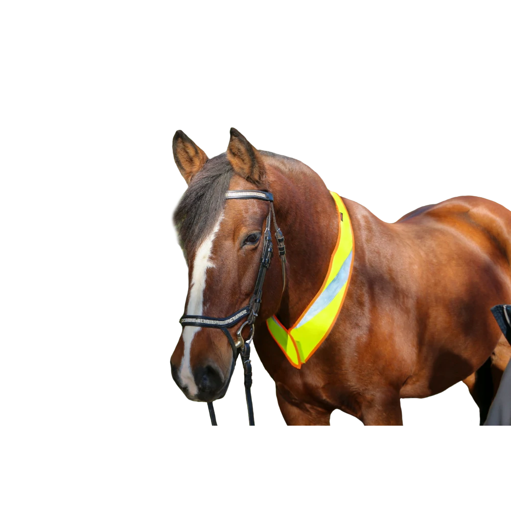 Neck Reflector Louisiana