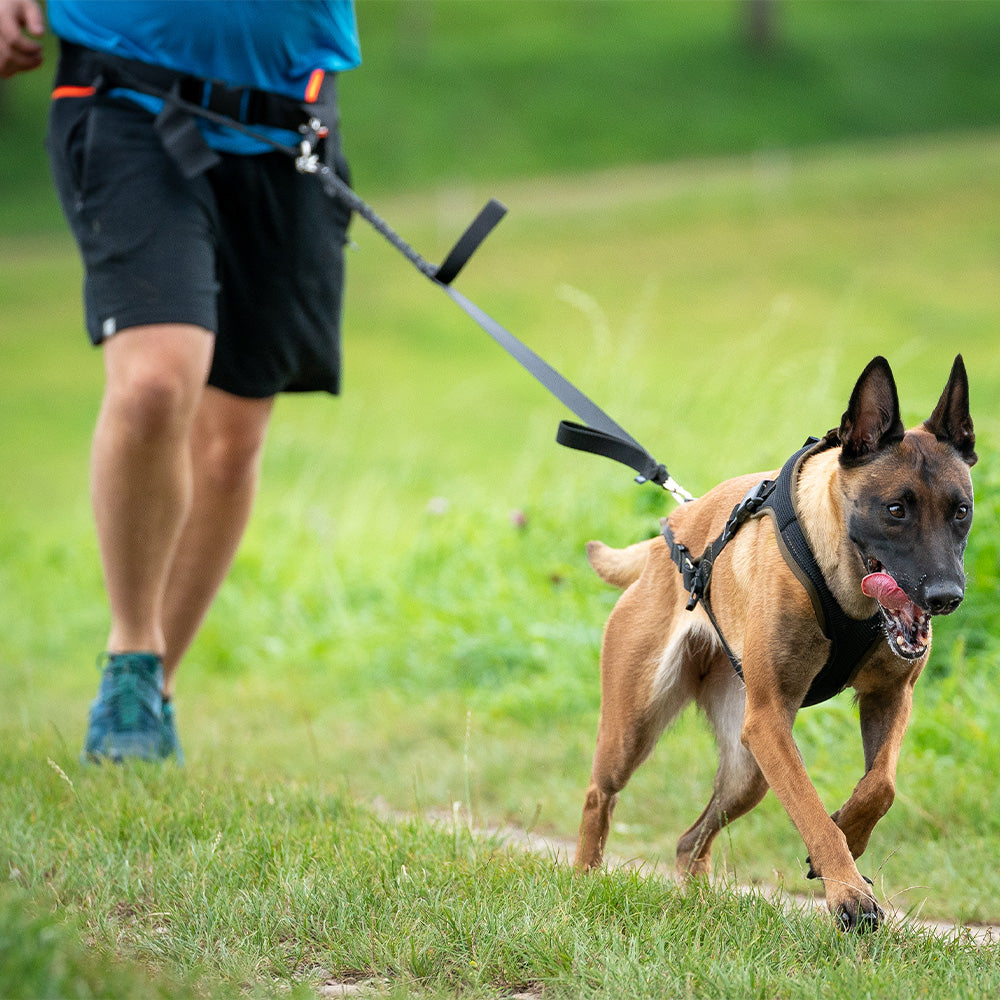 Jogging Leash Sport