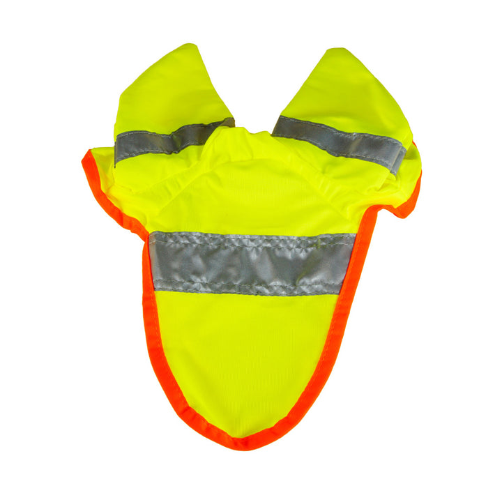 Washington Lighted Ear Net