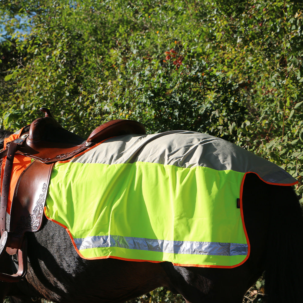 Phoenix Plus illuminated ceiling