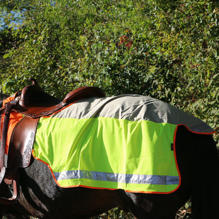 Phoenix Plus illuminated ceiling
