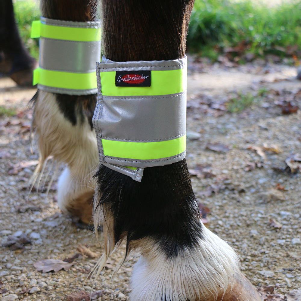 Alabama Lighted Gaiters