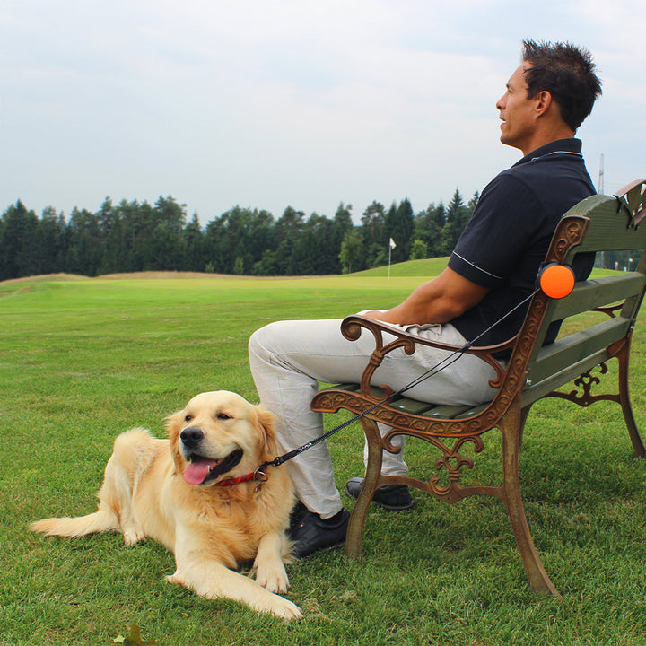 Lishinu 3 - intelligent dog leash reel orange