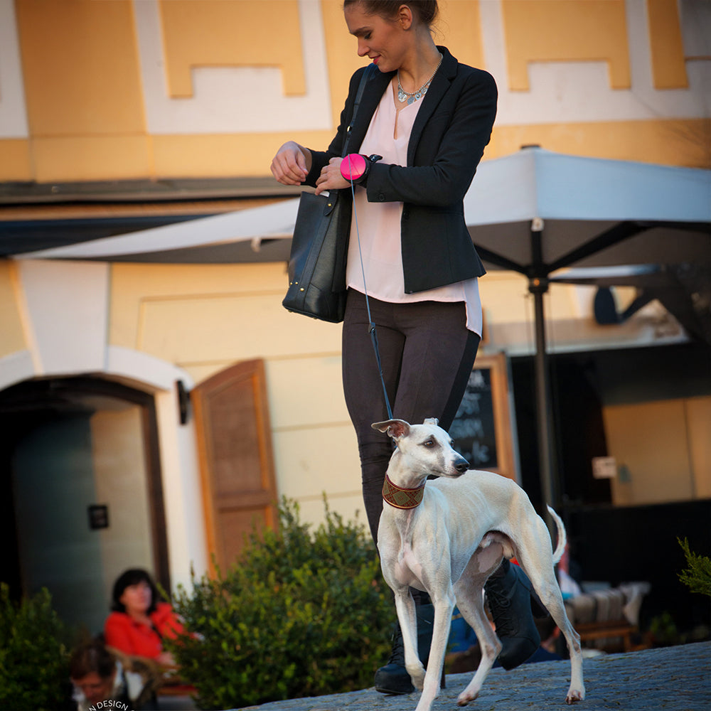 Lishinu 3 - intelligent dog leash reel bright pink