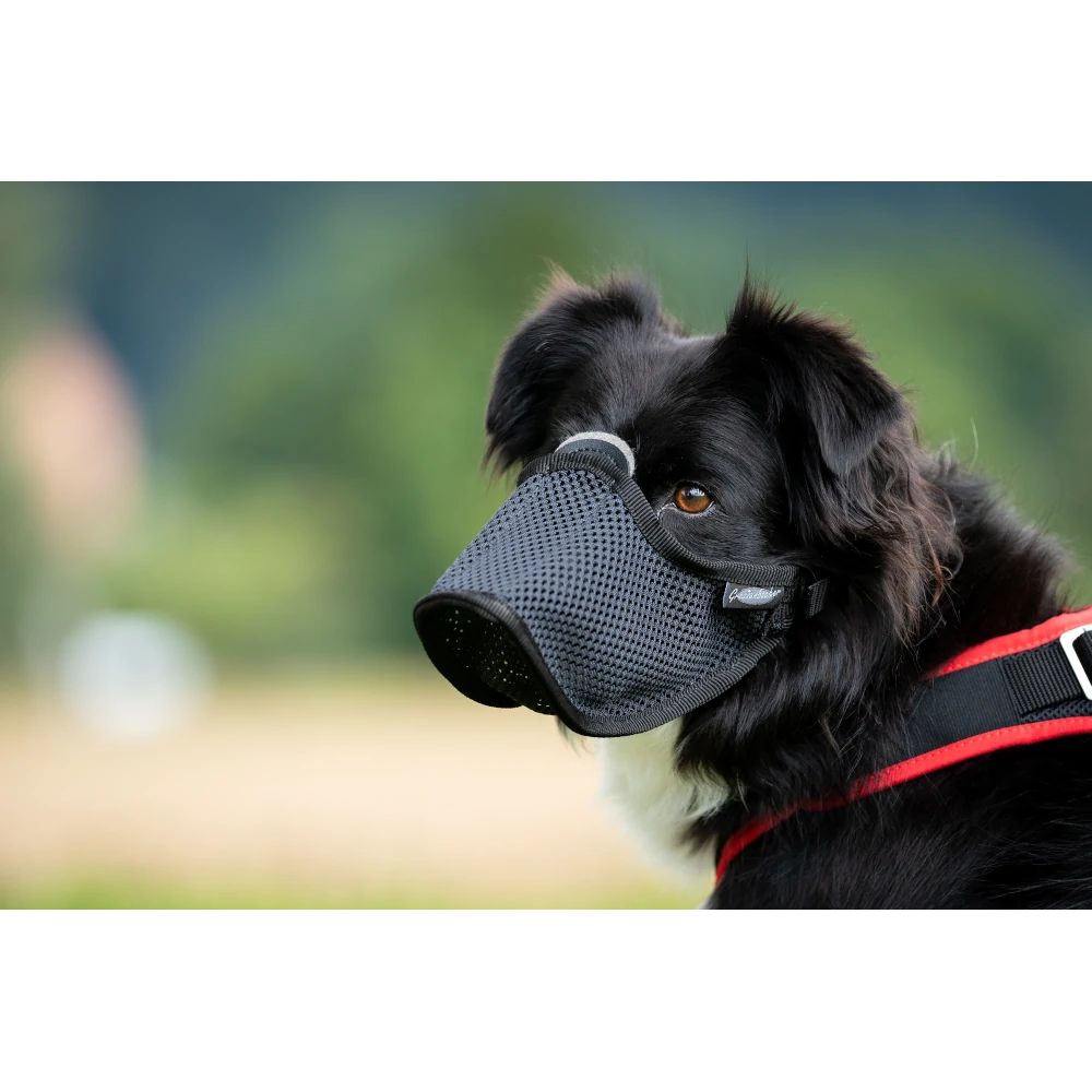 Light Muzzle with Felt