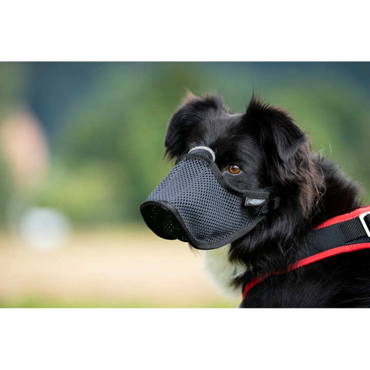 Light Muzzle with Felt