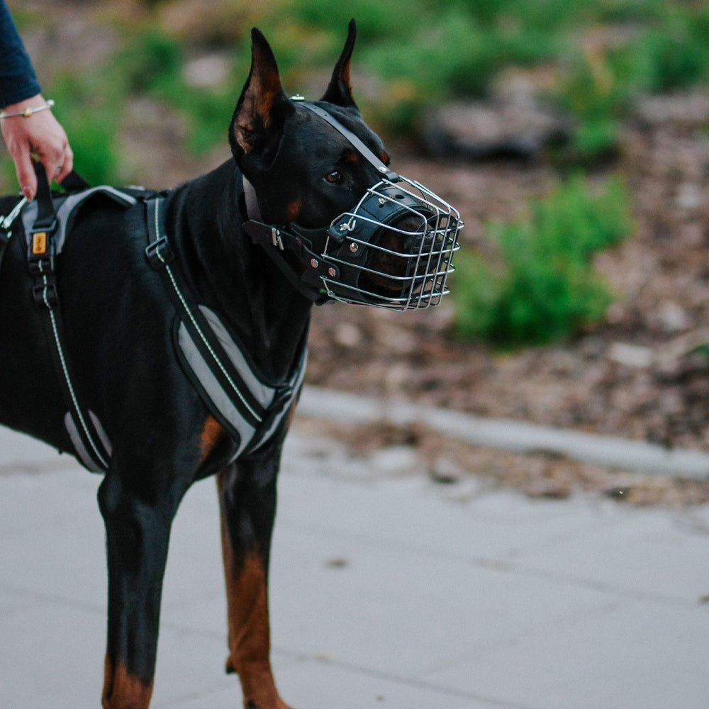 Muzzle metal - Dingo