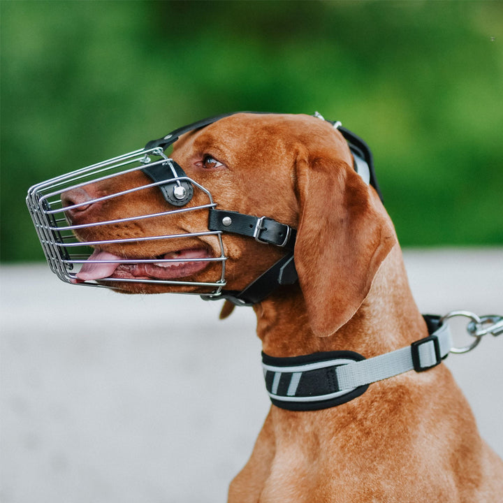 Muzzle metal - Dingo